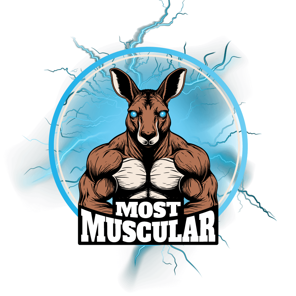 The official logo for the Most Muscular brand, featuring a muscular kangaroo mascot with a lightning bolt background as a compressed png version.
